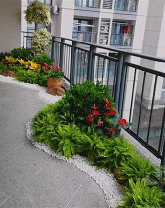 辦公樓植物租賃造景